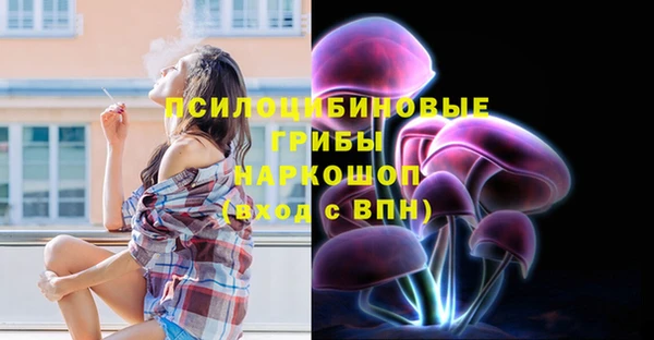 ПСИЛОЦИБИНОВЫЕ ГРИБЫ Заволжье