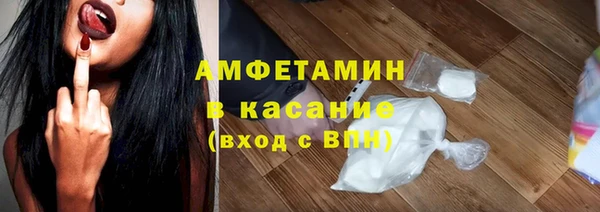 стаф Ельня