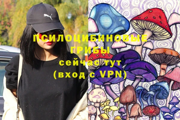 МДПВ Заволжск