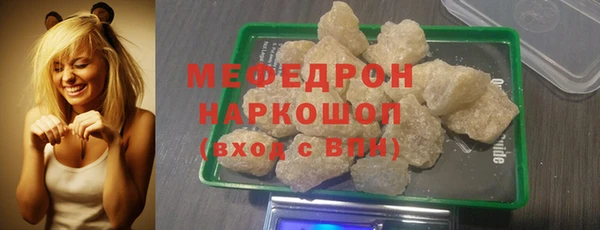 стаф Ельня