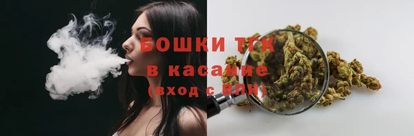 стаф Ельня