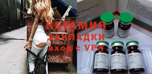 стаф Ельня