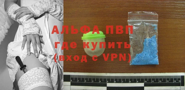 ПСИЛОЦИБИНОВЫЕ ГРИБЫ Заволжье