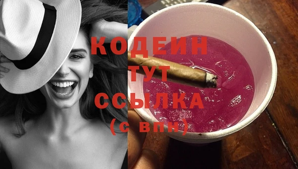 стаф Ельня