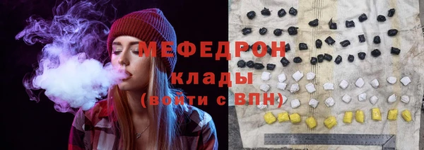стаф Ельня